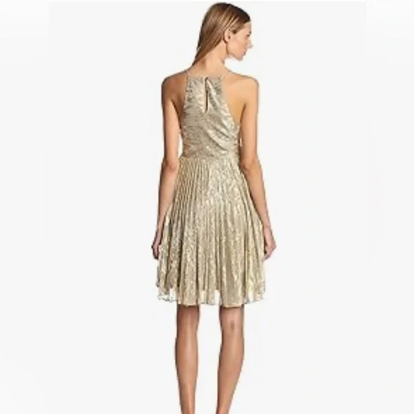 Sam Edelman Russian GoldRomance Dress - Picture 5 of 15